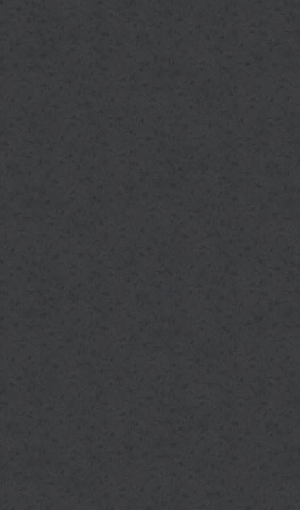 42V Autumn anthracite