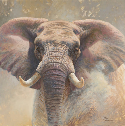 44D Elephant