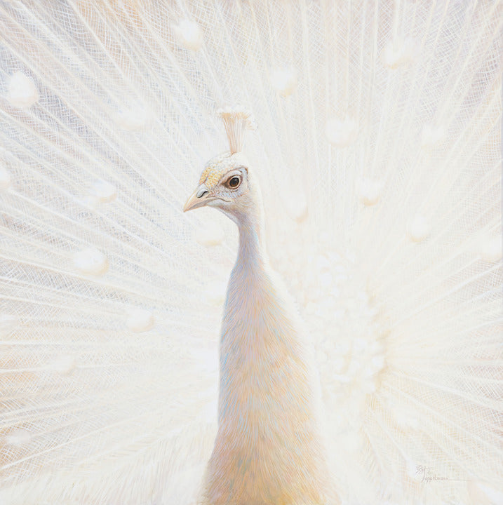 44E Peafowl