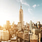 44N New York