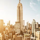 44N New York
